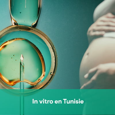 in vitro tunisie